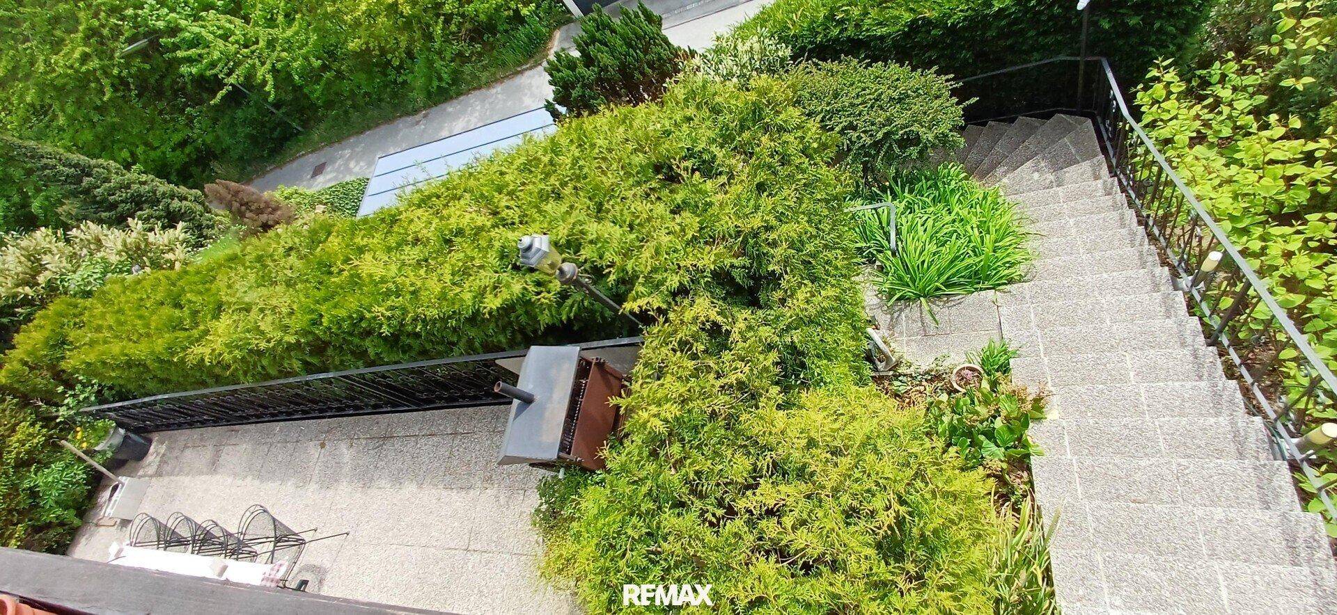 Vogelperspektive auf einen terrassierten Gartenbereich mit Treppen und üppiger Vegetation.