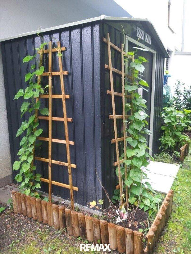 Kleiner Gartenschuppen mit Rankhilfen für Pflanzen im grünen Garten.