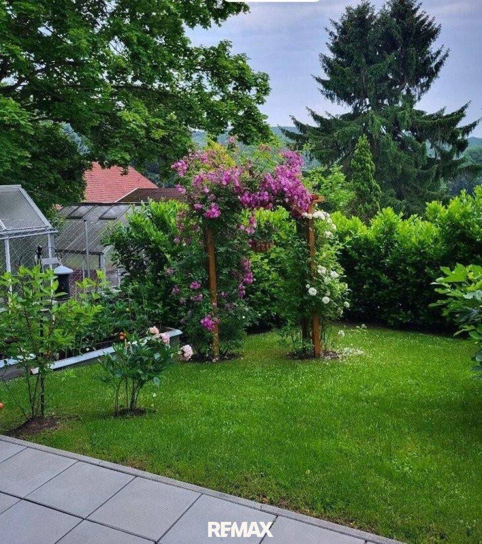 Gepflegter Garten mit Rasenfläche, blühenden Pflanzen und einem Rosenbogen.
