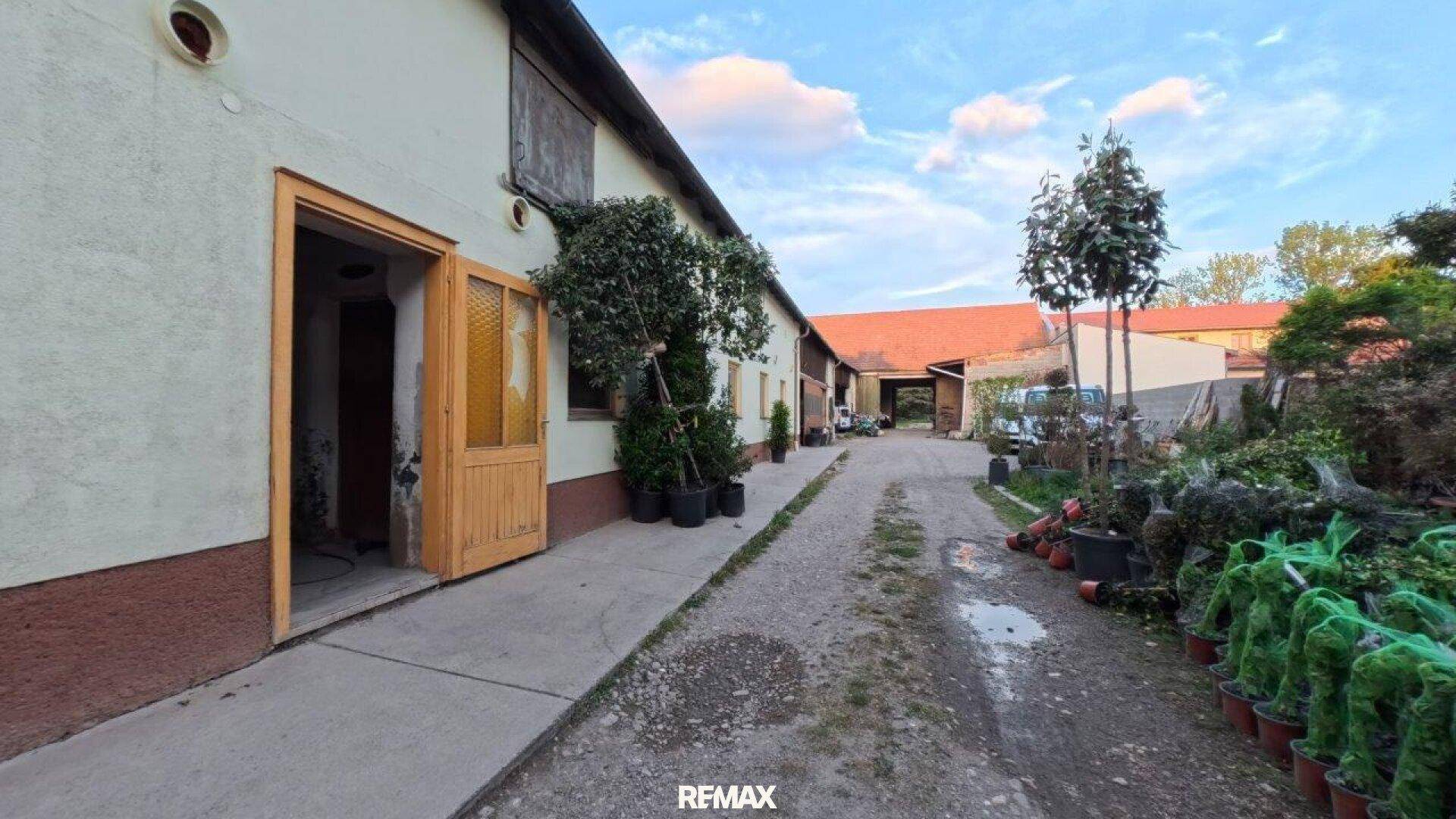 Unbefestigter Weg führt zu einem Gebäude mit Holztüren und Topfpflanzen am Rand.