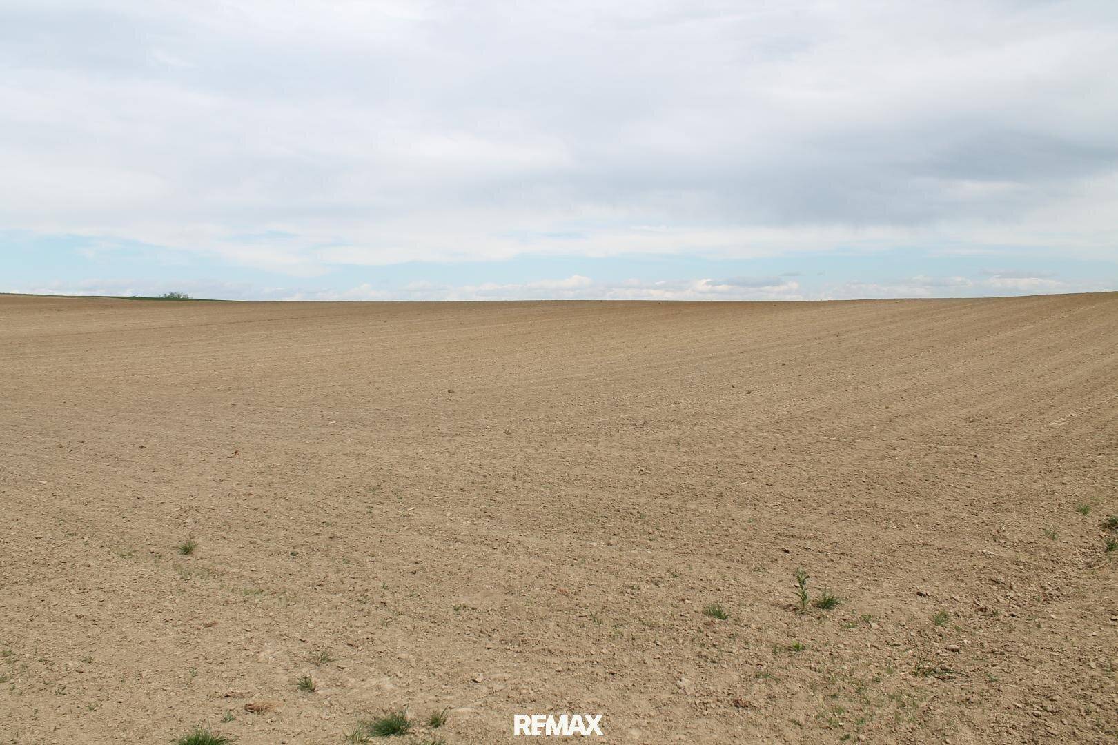 Ein weites, braunes Feld unter einem bewölkten Himmel, bereit für die Aussaat oder nach der Ernte.