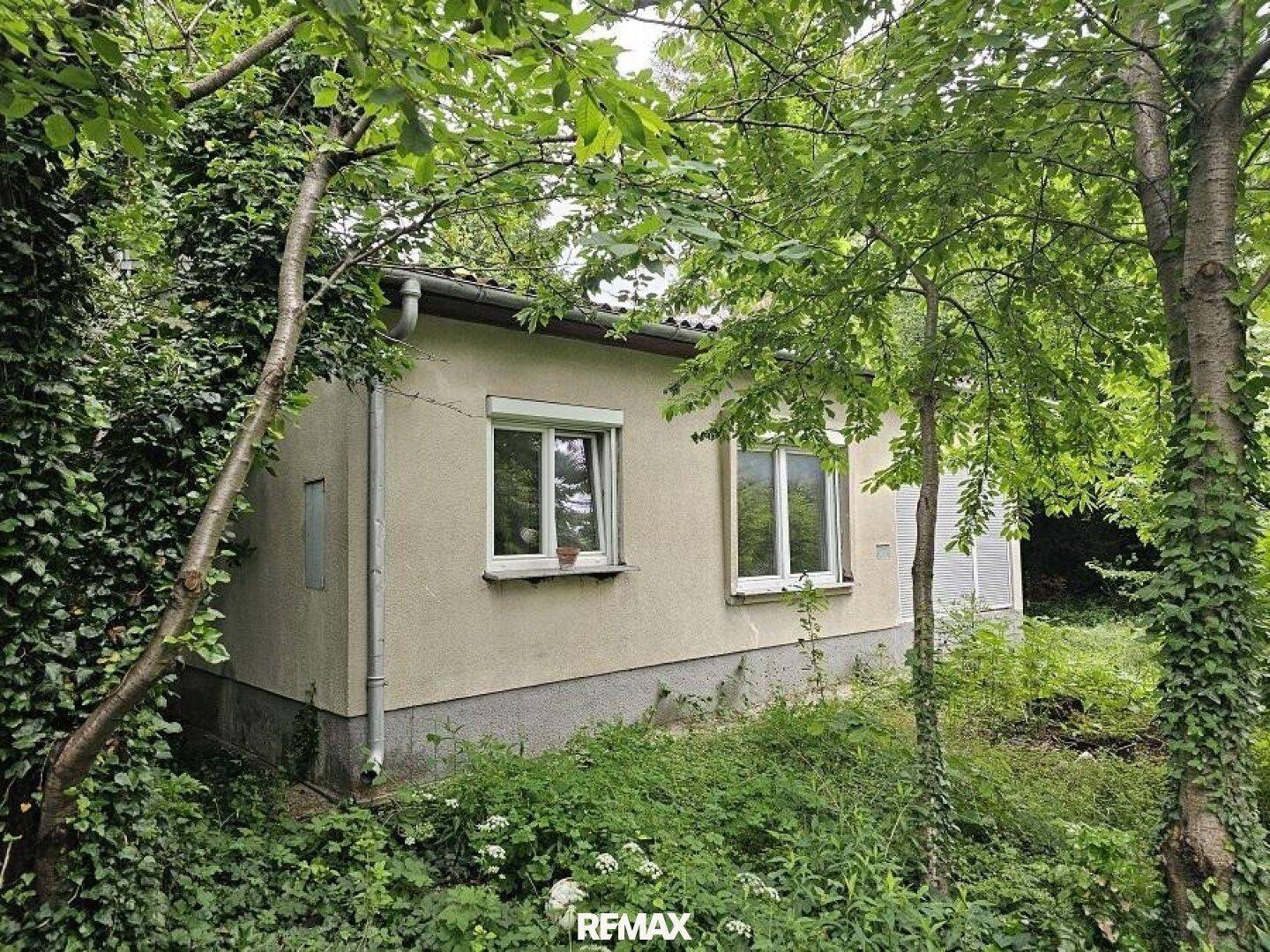 Rückansicht des Hauses, umgeben von dichtem Grün und Bäumen, mit kleinen Fenstern.