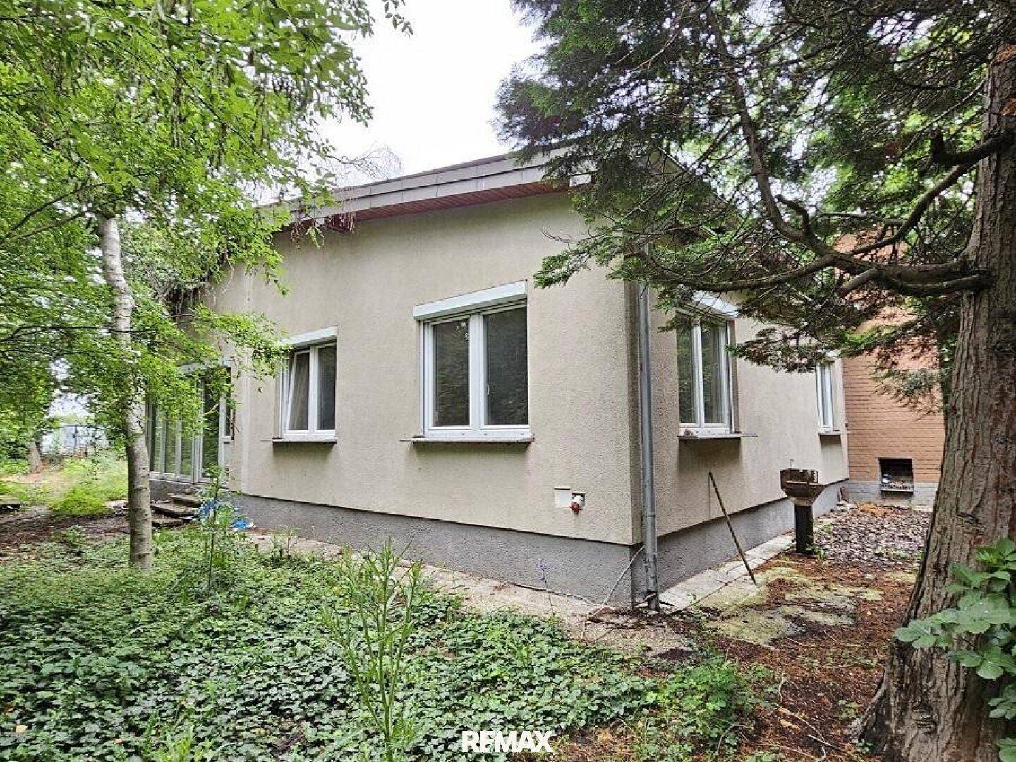 Seitenansicht des Hauses mit mehreren Fenstern und einem bewachsenen Gartenbereich.