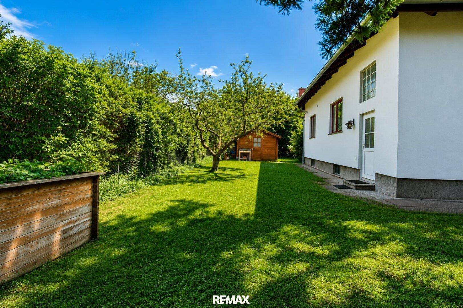 Großer Garten mit Rasenfläche, Obstbaum und kleinem Gartenhaus im Hintergrund.