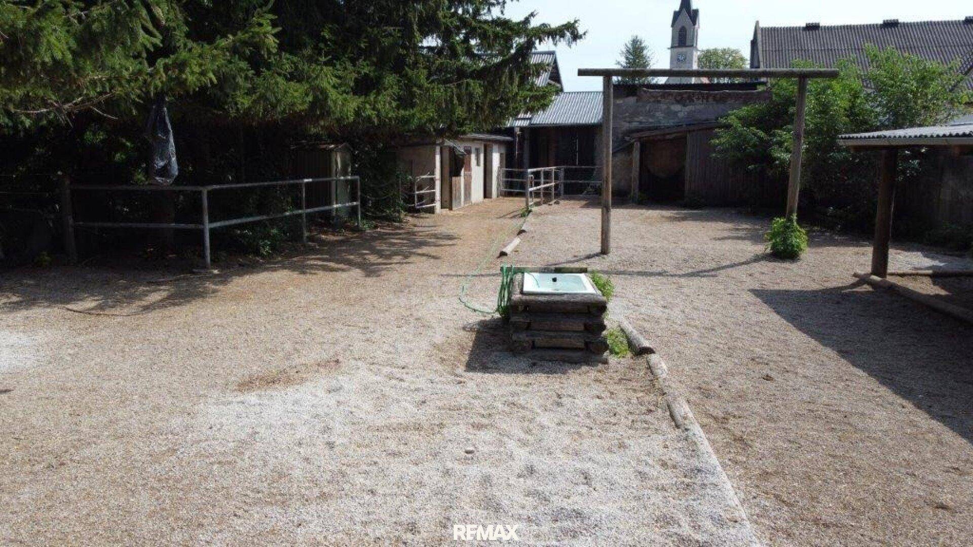 Außenbereich mit Kiesboden, einem Wassertrog und mehreren kleinen Stallgebäuden, umgeben von Bäumen.