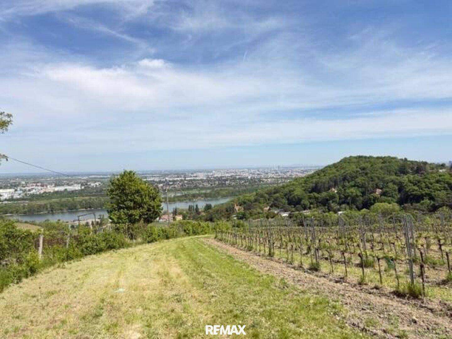 Panoramablick über Weinberge, Fluss und die Stadt in der Ferne unter blauem Himmel.