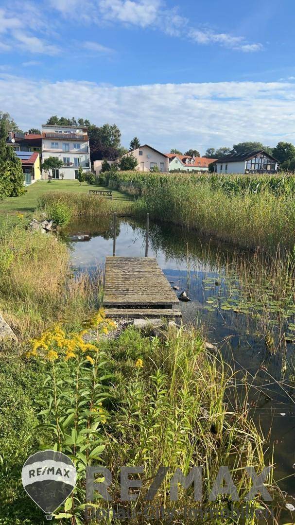 Naturnaher Gartenbereich mit Teich, Holzsteg und üppiger Ufervegetation.