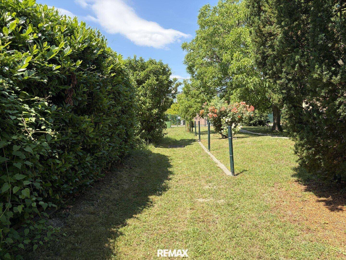Ein schmaler Gartenweg, gesäumt von hohen, gepflegten Hecken und Bäumen unter strahlendem Himmel.
