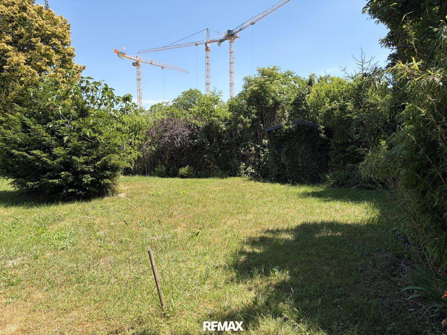 Weitläufige Gartenfläche mit üppigem Grün, Bäumen und mehreren Baukränen in der Ferne.