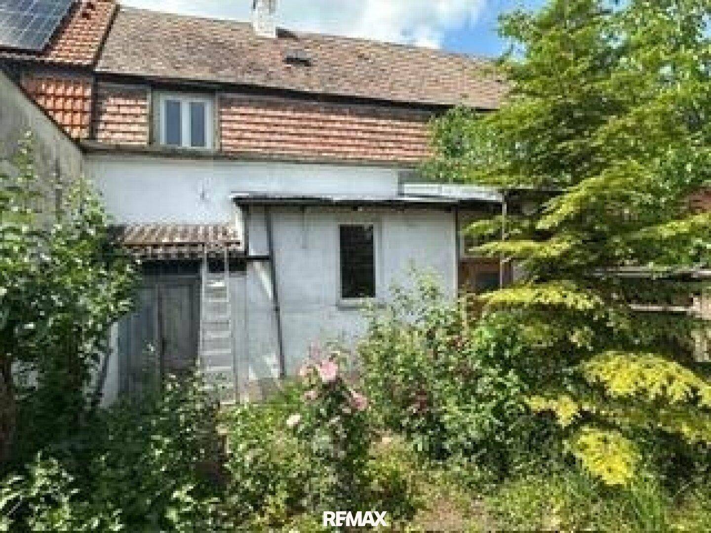 Rückansicht des Hauses mit überwachsenem Garten und Solarpaneelen auf dem Dach.