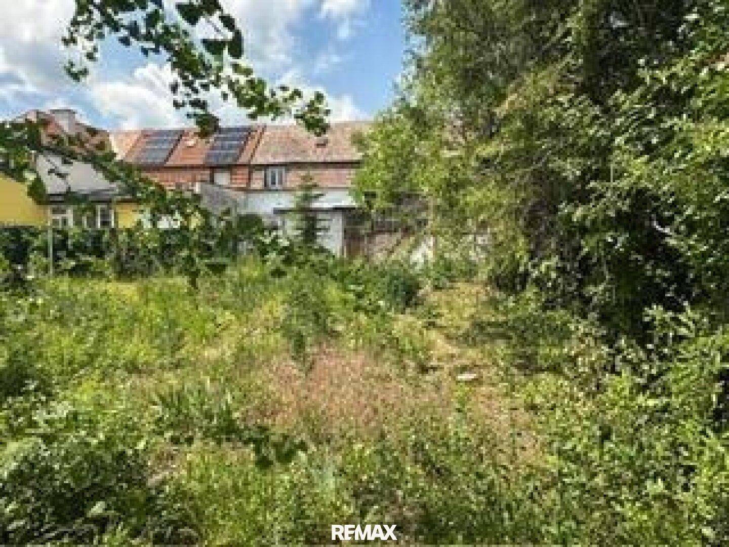 Weitläufiger Blick auf das Haus mit überwachsenem Garten und Solarpaneelen auf dem Dach.