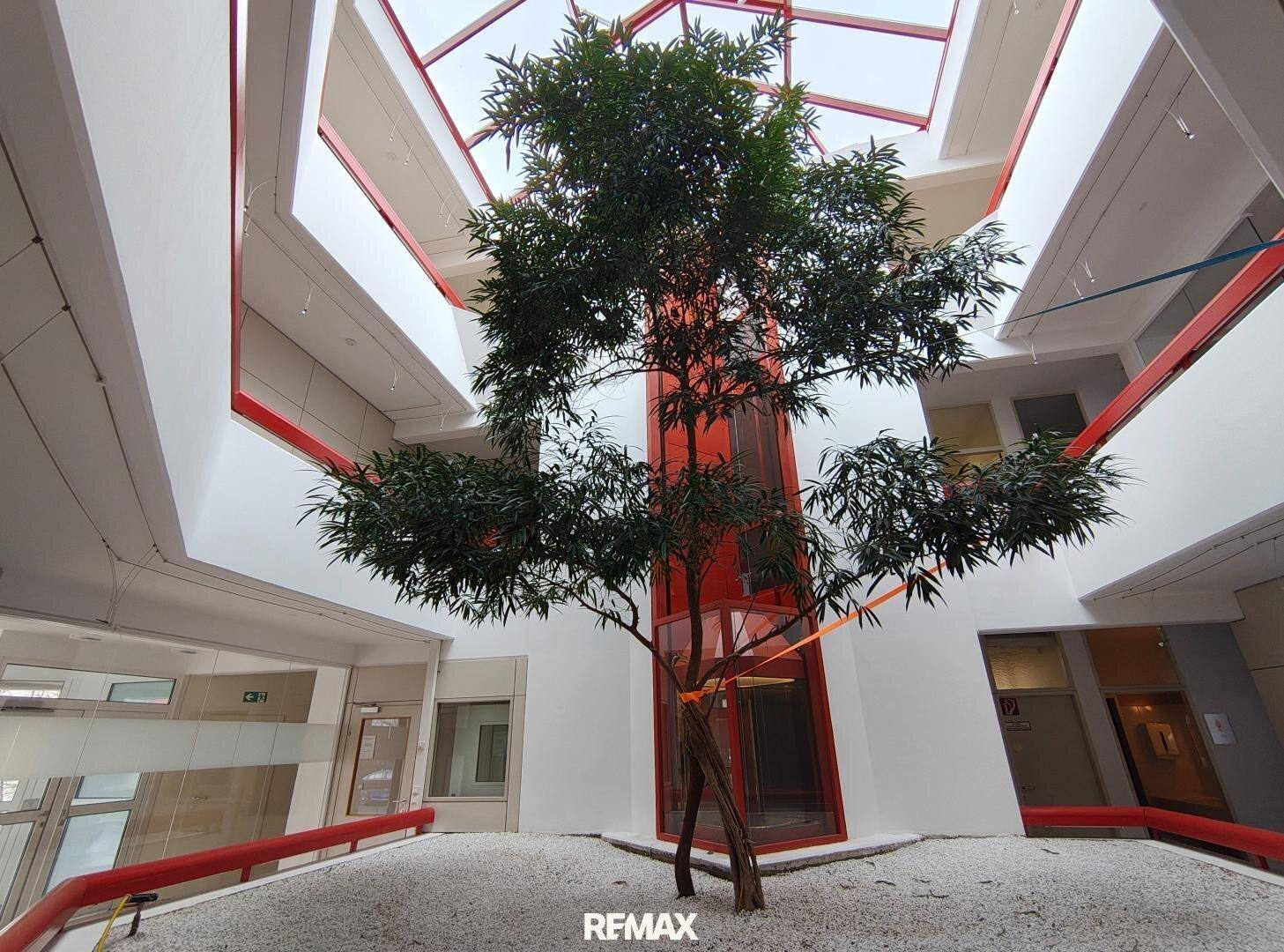 Helles Atrium mit einem Baum, roten Akzenten und einem Aufzug, der viel Licht hereinlässt.