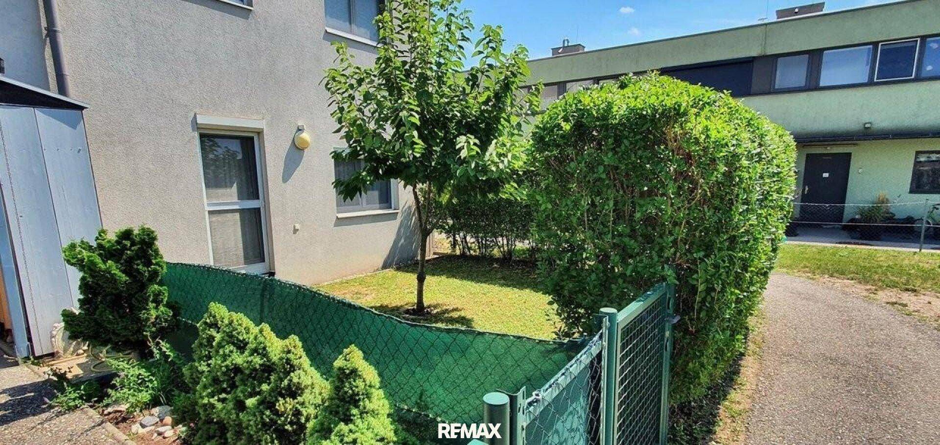 Kleiner, eingezäunter Gartenbereich mit Rasen und jungem Baum vor der Hausfassade.