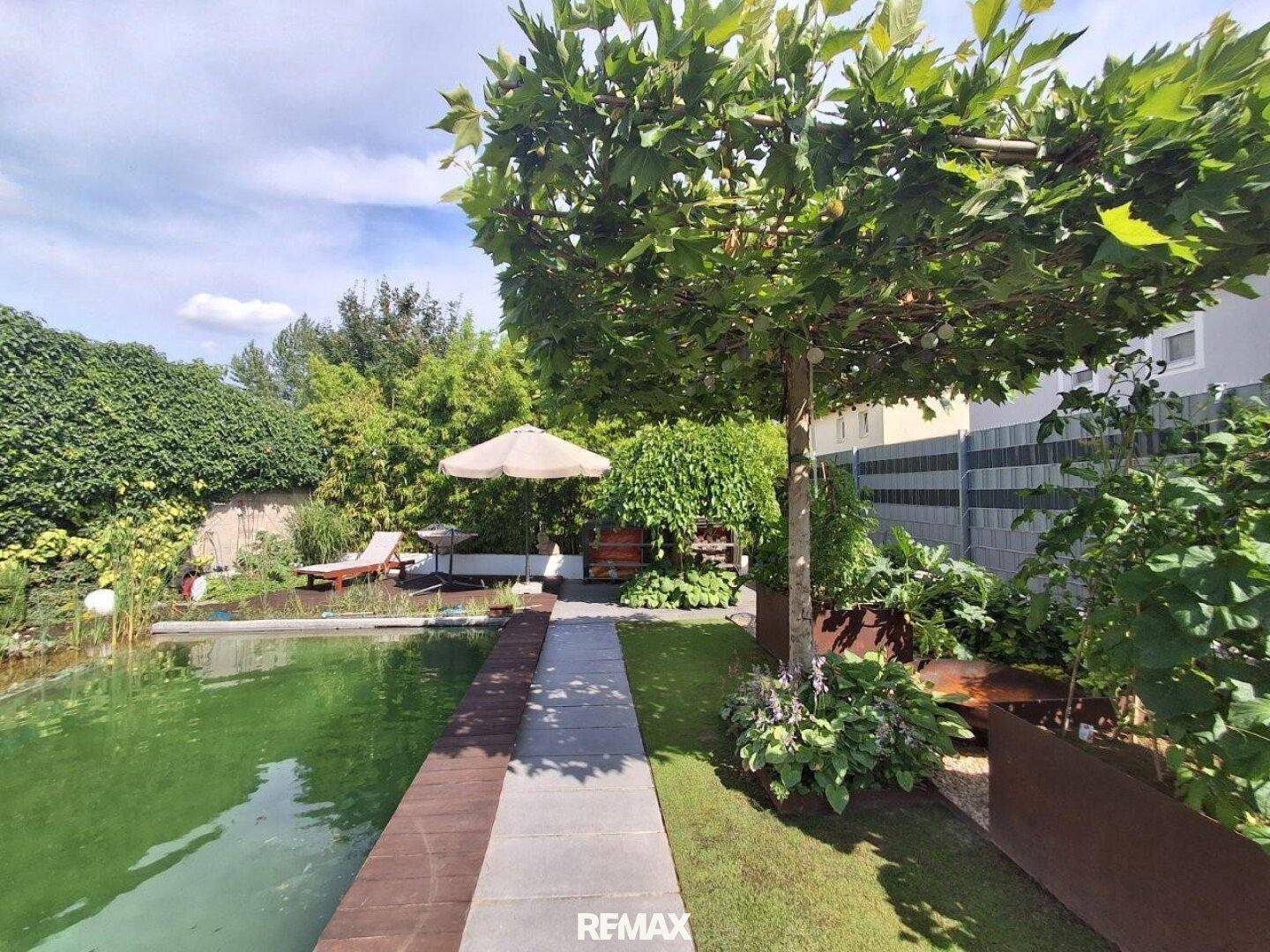 Gepflegter Gartenbereich mit Schwimmteich, Holzdeck und einem schattenspendenden Baum.