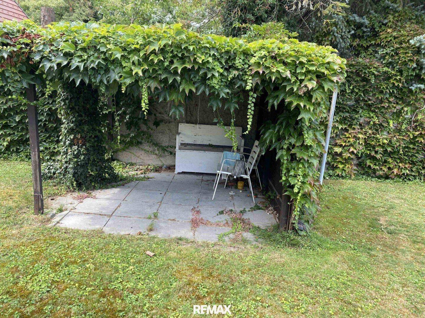 Überdachter Sitzbereich im Freien, umgeben von dichtem Efeu, ideal für schattige Stunden im Garten.