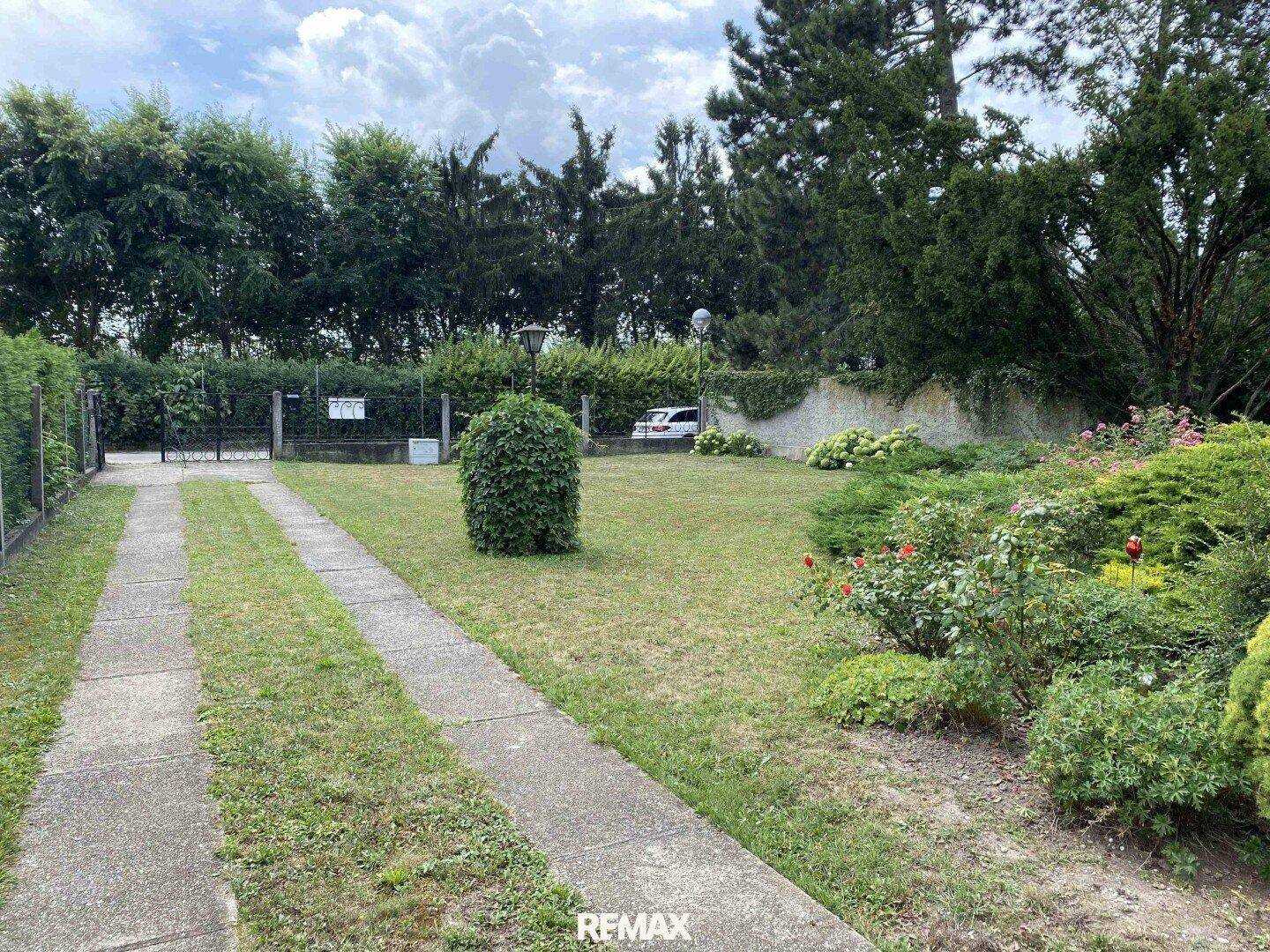 Zufahrt zum Grundstück durch einen grünen Gartenbereich mit verschiedenen Pflanzen und Sträuchern.