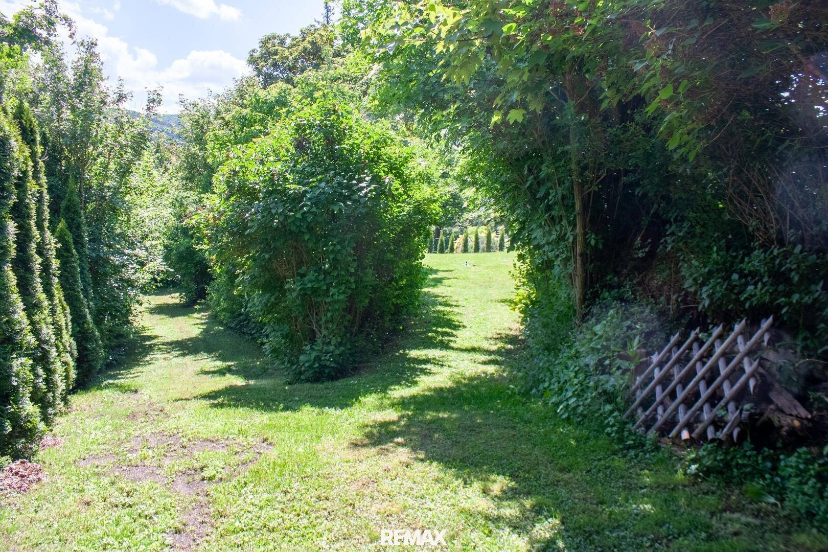 Naturbelassener Gartenweg umgeben von dichtem Grün und hohen Bäumen, bietet viel Privatsphäre.