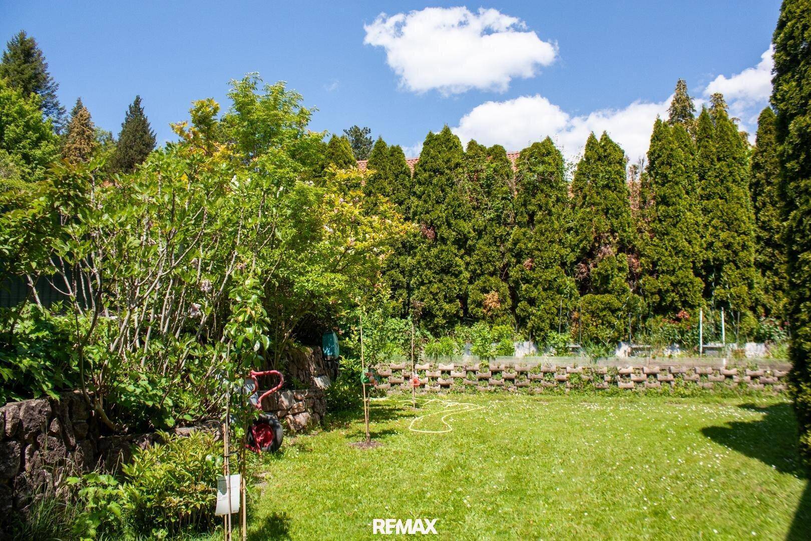 Gepflegter Garten mit Rasenfläche, hohen Hecken und verschiedenen Sträuchern unter blauem Himmel.