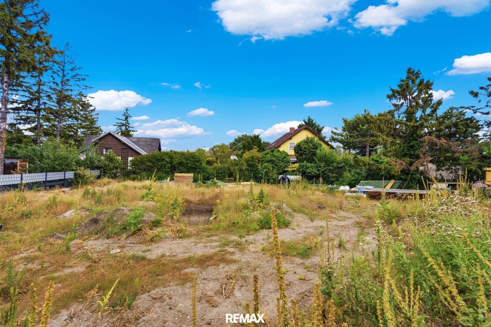 Unbebautes Grundstück mit trockener Wiese und Bäumen, umgeben von Wohnhäusern unter blauem Himmel.