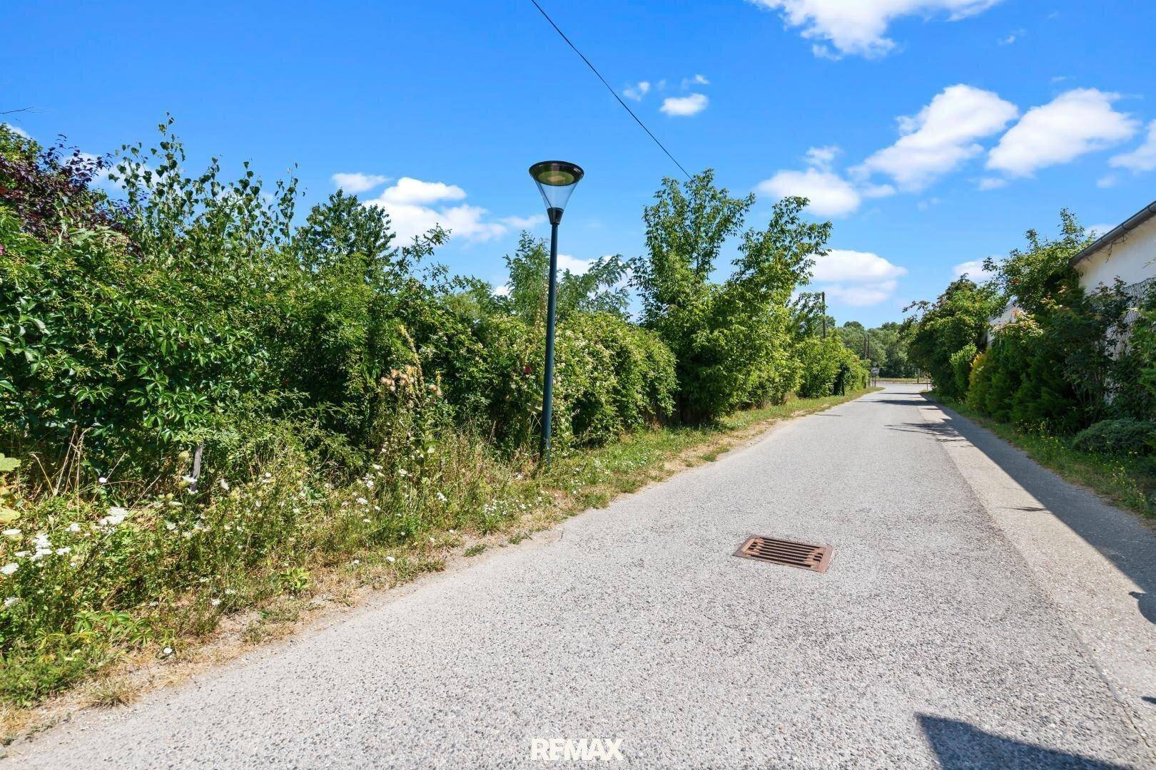 Schmaler asphaltierter Weg mit einer Straßenlaterne, umgeben von üppigem Grün unter blauem Himmel.