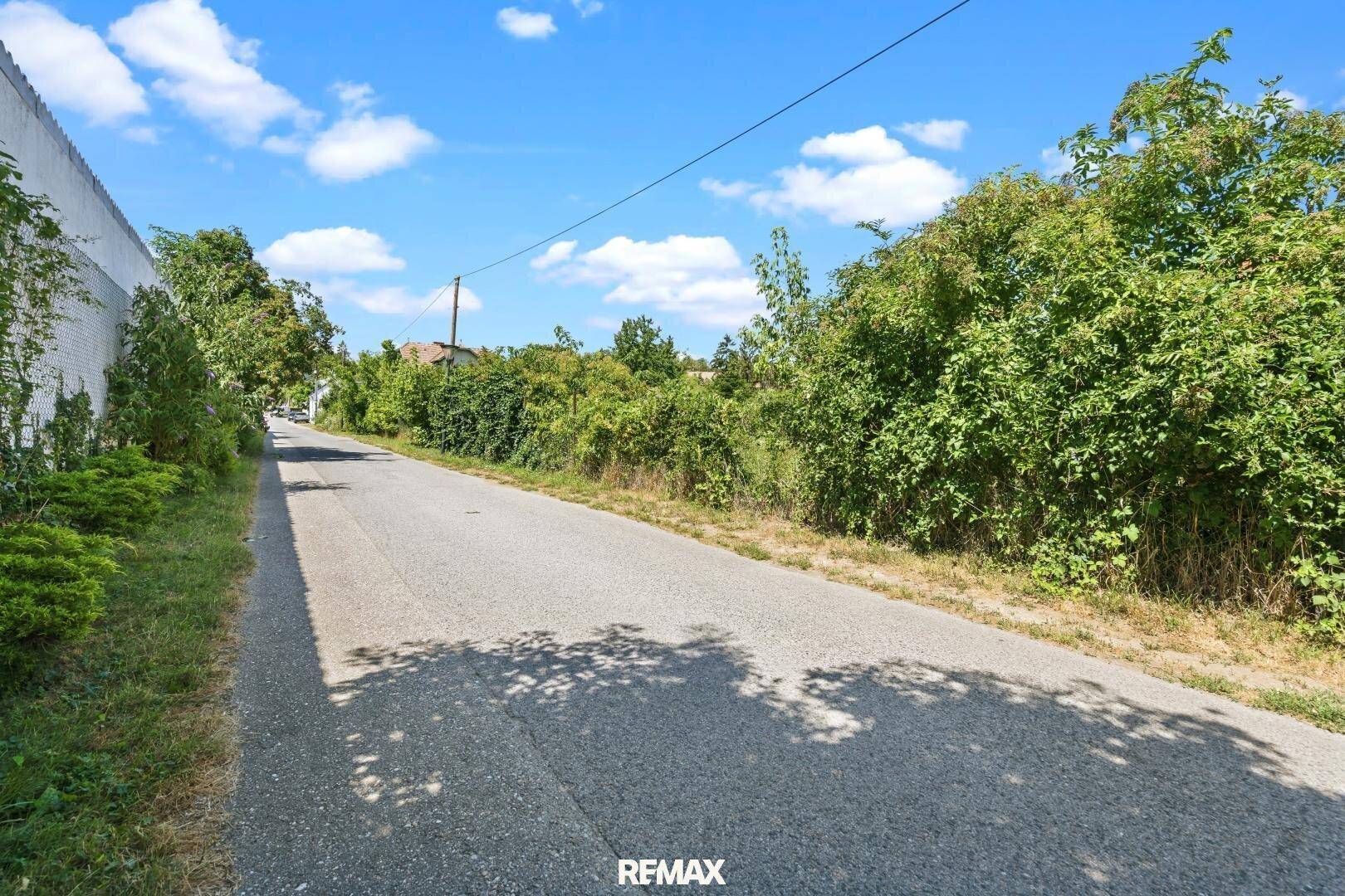 Asphaltierte Straße, die sich durch dichte grüne Vegetation schlängelt, mit einer Mauer auf der linken Seite.