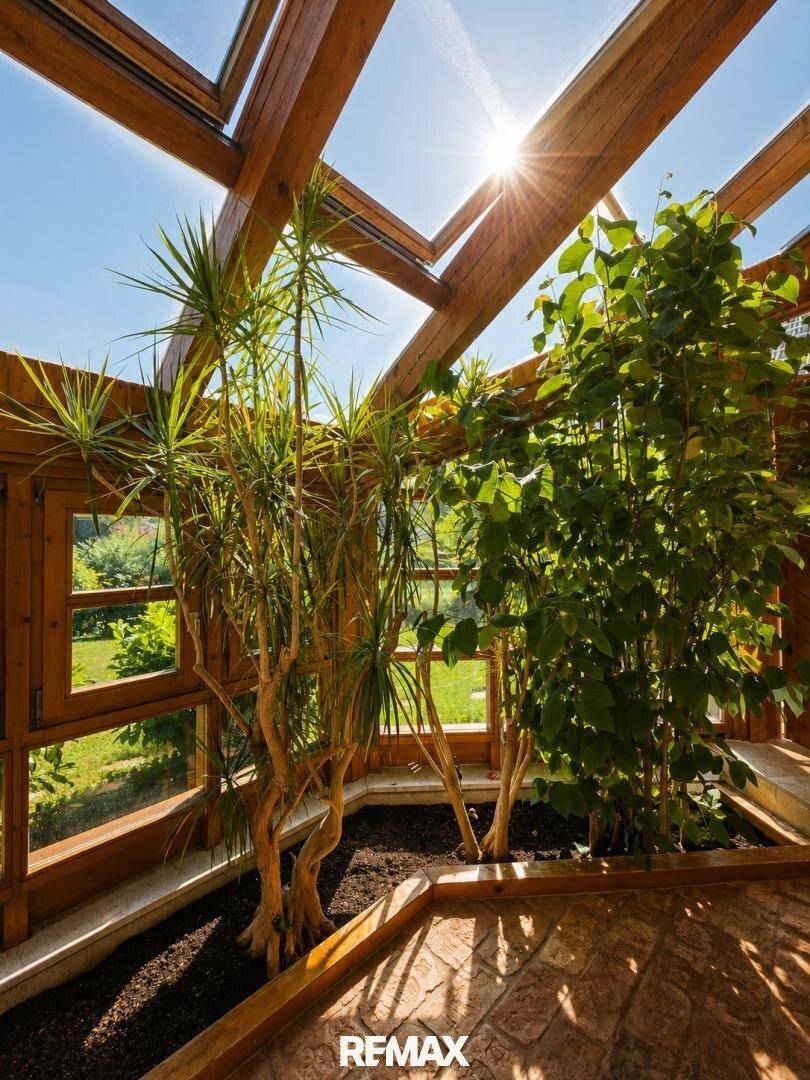 Lichtdurchfluteter Wintergarten mit üppigen Grünpflanzen und Holzbalken unter einem Glasdach.
