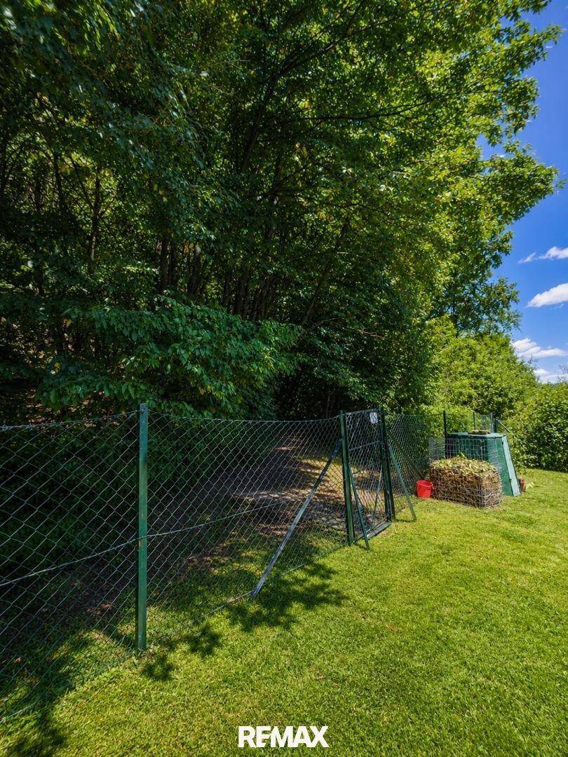 Grüner Gartenbereich mit Zaun, Bäumen und Komposthaufen an einem sonnigen Tag.
