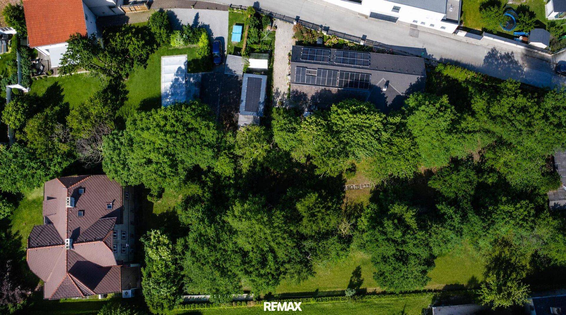 Luftaufnahme einer Wohngegend mit viel Grün, Häusern und Solaranlagen auf einem Dach.