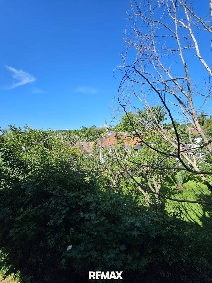 Weitblick über grüne Baumwipfel und Dächer der umliegenden Gebäude unter blauem Himmel.