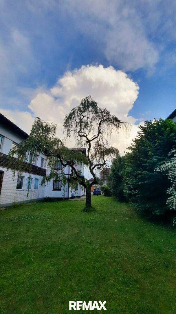Große Rasenfläche mit einem markanten Baum unter einem bewölkten Himmel.