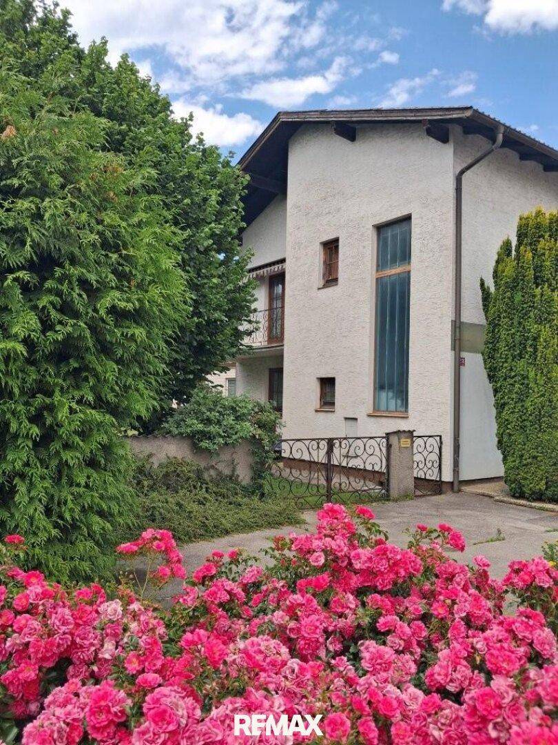 Vorderansicht des Hauses mit blühenden Rosenbüschen und hohen Hecken.