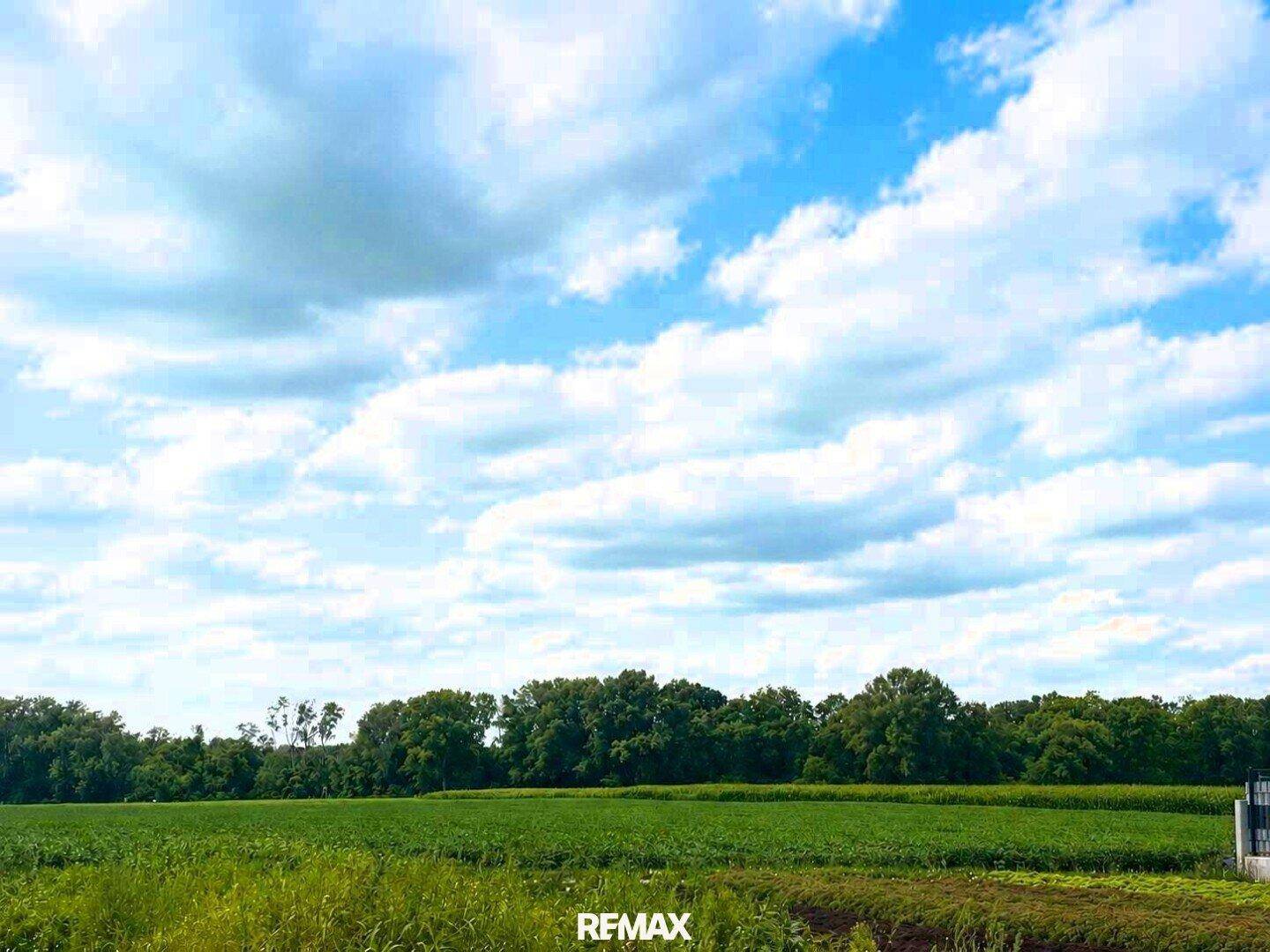 Weite grüne Felder und Baumreihen unter einem strahlend blauen Himmel mit Wolken.