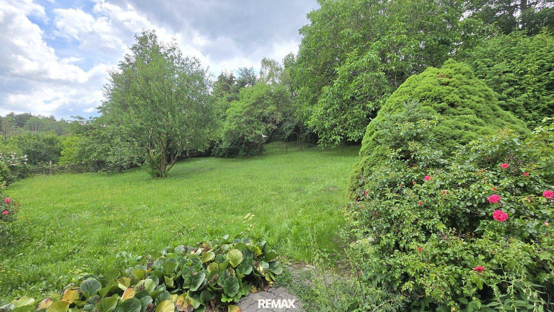 Großer, gepflegter Garten mit Rasenfläche und altem Baumbestand.