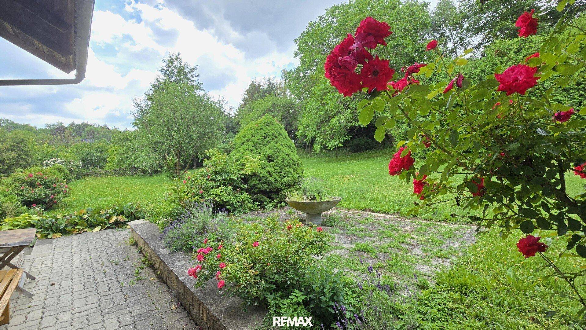 Gepflasterte Terrasse mit blühenden Rosen und einem weitläufigen grünen Garten im Hintergrund.