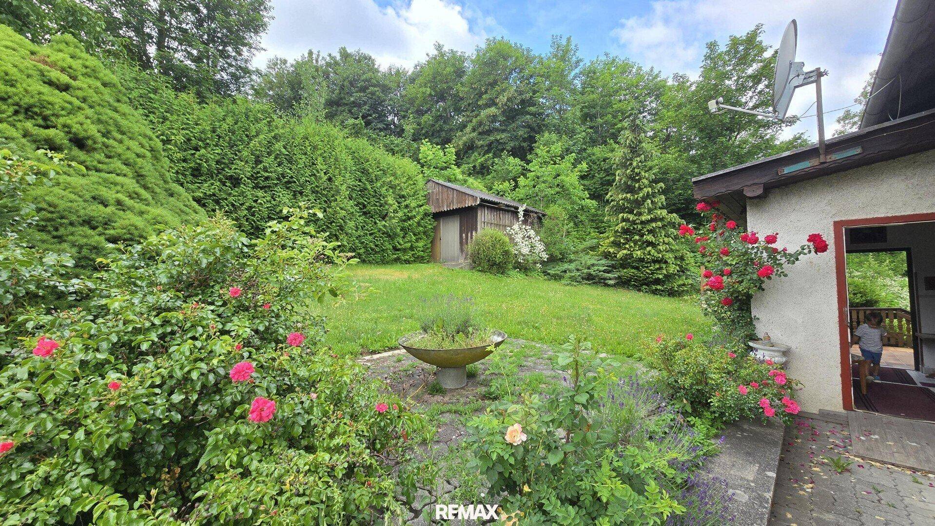 Großer Garten mit Rasenfläche, einem Holzschuppen und einer Terrasse neben dem Haus.