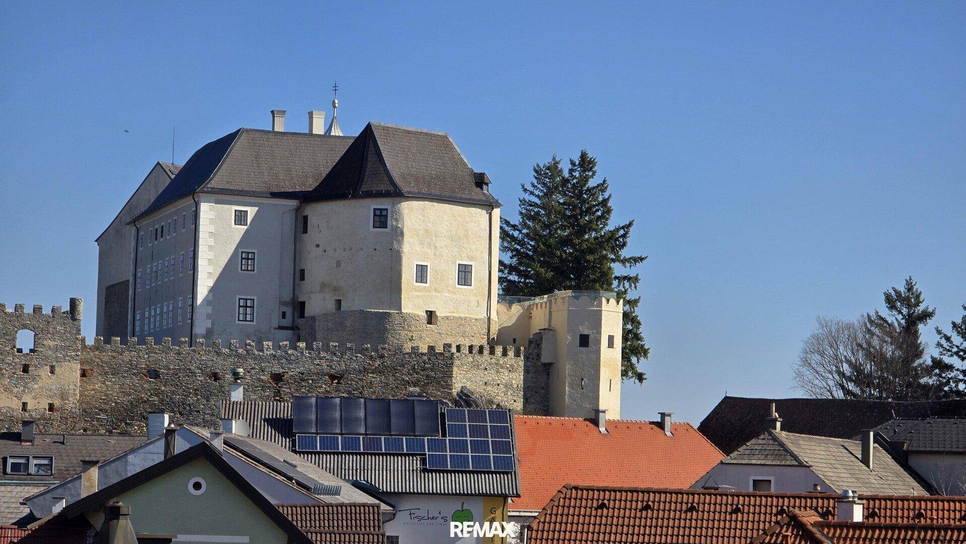 Historisches Schloss auf einem Hügel mit umliegenden Häusern und Solaranlagen auf Dächern.
