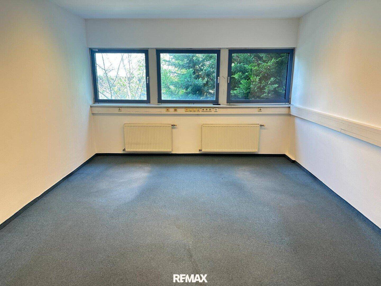 Geräumiges Büro mit blauem Teppichboden, weißen Wänden und drei Fenstern mit Blick ins Grüne.