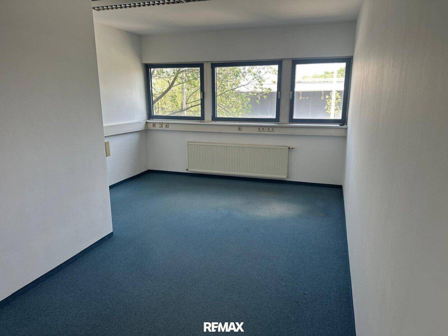 Helles Büro mit blauem Teppichboden, weißen Wänden und Fenstern, die Tageslicht hereinlassen.