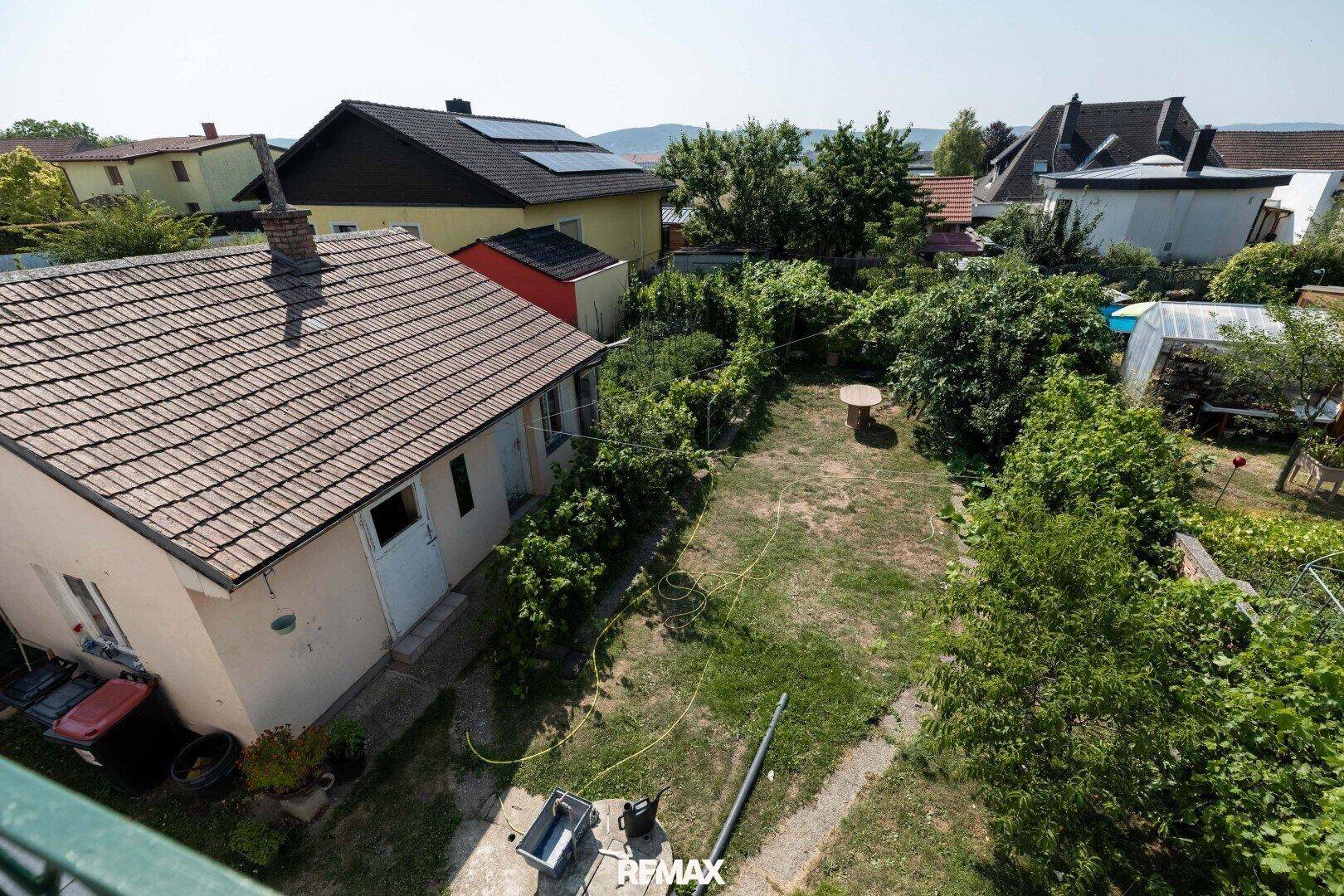 Großer, ungepflegter Garten mit Bäumen, Sträuchern und einem kleinen Tisch im Freien.