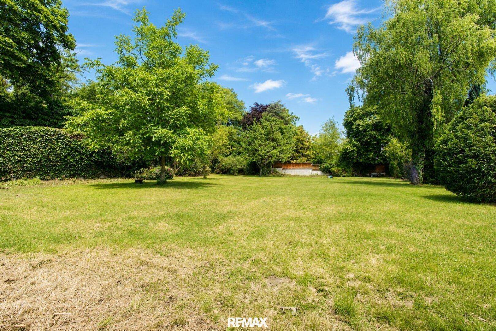 Großer, gepflegter Garten mit weitläufiger Rasenfläche, Bäumen und einer dichten Hecke.