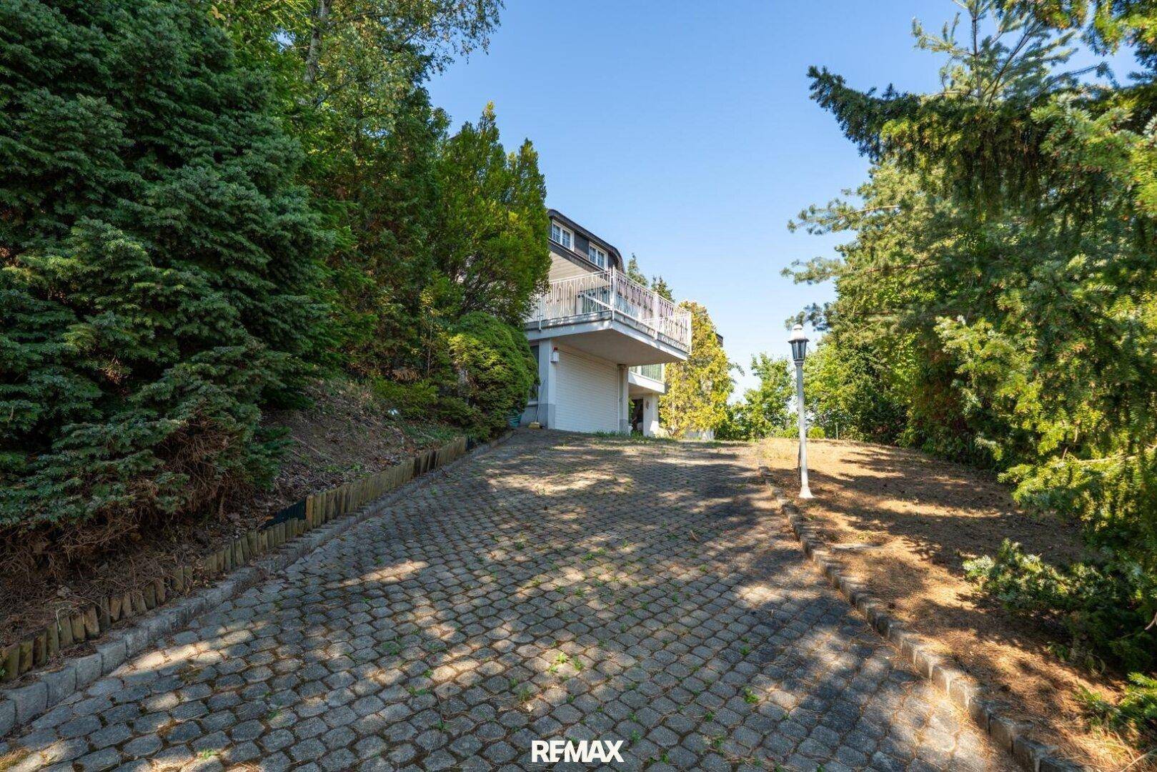 Gepflasterte Auffahrt führt zu einem Haus, umgeben von hohen Bäumen und viel Grün.