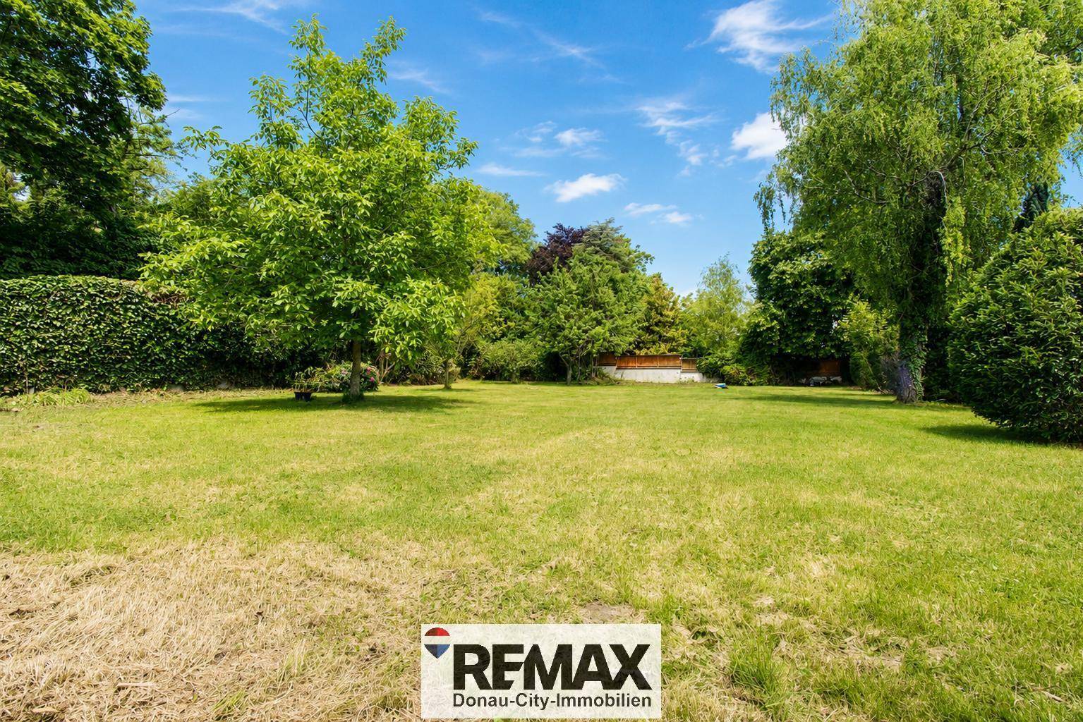 Großer, gepflegter Garten mit Rasenfläche und altem Baumbestand unter blauem Himmel.