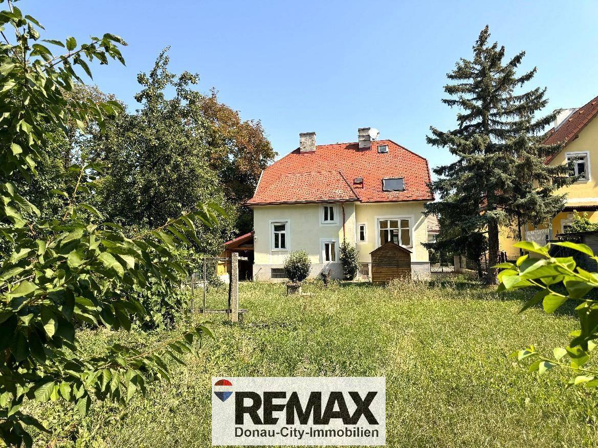 Rückansicht des Hauses mit großem, sonnigen Garten und altem Baumbestand.