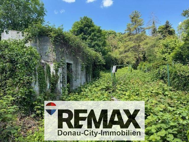 Verfallenes Gebäude umgeben von dichter Vegetation unter blauem Himmel.