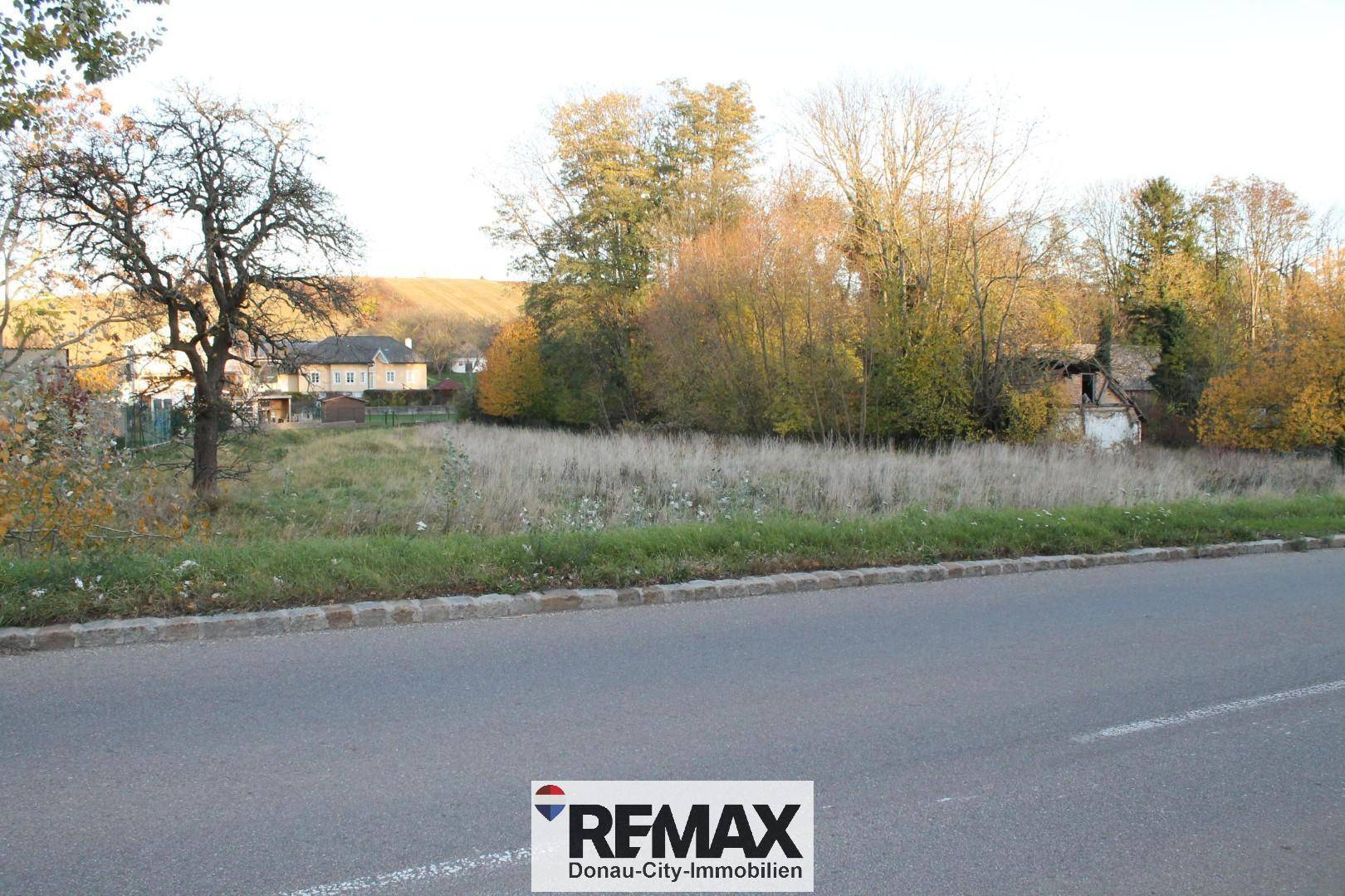 Weitläufiges Grundstück mit Blick auf Bäume und ländliche Bebauung, direkt an der Straße gelegen.
