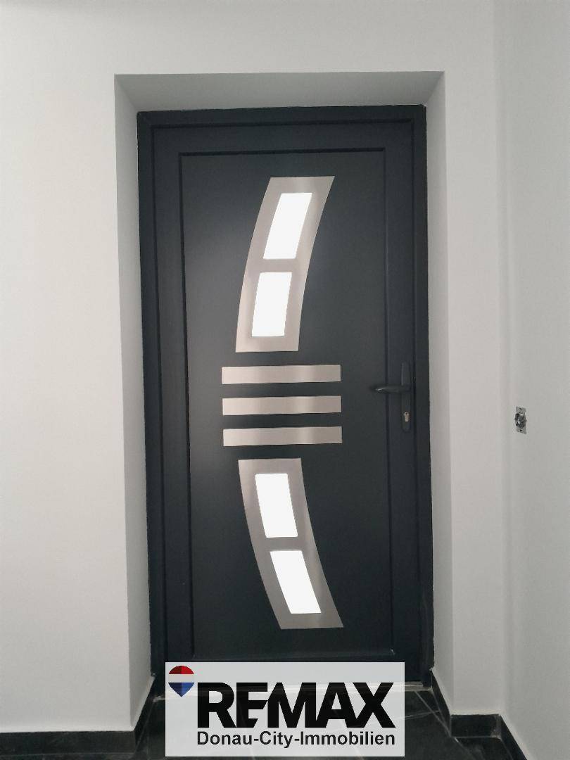 Moderne Eingangstür in dunklem Design mit dekorativen Metallelementen.