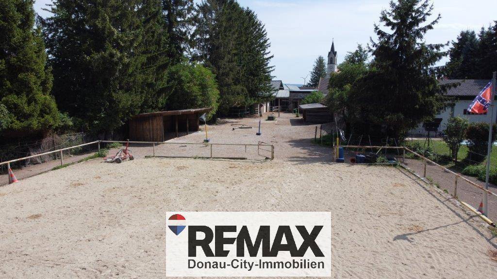 Weitläufiger Sandplatz, möglicherweise eine Reitbahn, umgeben von Bäumen und ländlichen Gebäuden.