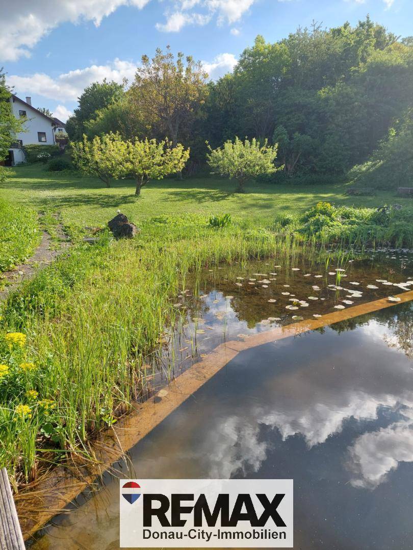 Sonniger Gartenbereich mit einem natürlichen Teich, grünen Pflanzen und Blick auf das Hauptgebäude.