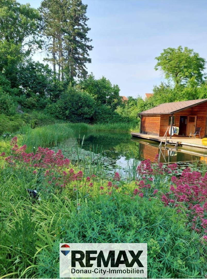 Idyllischer Teich mit üppiger Vegetation und einem Holzhaus mit Steg am Wasser.