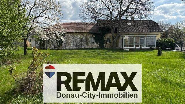 Weitläufiger Gartenbereich vor einem älteren Haus mit Anbau und blühenden Bäumen.